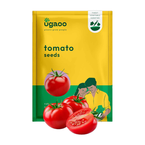 UGAOO Tomato Seed