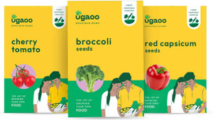 UGAOO Exotic Vegetable Seeds Combo Of Red Cherry Tomato, Broccoli, Red Capsicum Seed