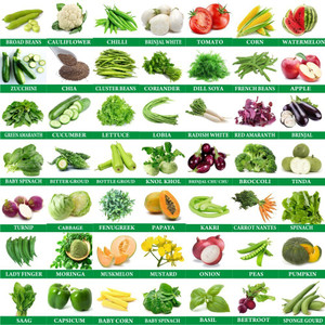 Greenery Hub 50-Vegetable Seeds Combo Seed