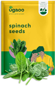UGAOO Palak or Spinach Vegetable Seed