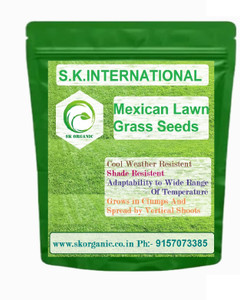 SK ORGANIC Mexican Lawn Grass Seeds for Gardens Farm house Cold,Drought & Shade Tolerant Seed