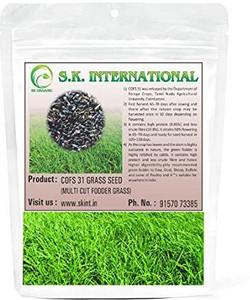SK ORGANIC COFS 31 Multicut Fodder Grass Seeds (500 gms) Seed