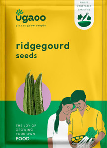 UGAOO Ridge Gourd Vegetable Seeds (Green, Pack of 2.4g) Seed