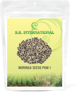 SK ORGANIC SK ORGANIC PKM1 MORINGA SEEDS 250 gms Seed