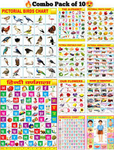 Early Learning Educational Chart for Kids | Learn About English Alphabet, Fruit, Vegetables, Animals, Birds, Part of Body, Hindi Vernmala, Transport, Numerical & Flower with Colourful Picture for Children Fine Art Print