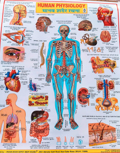 "Detailed Human Physiology Wall Chart -with full explanation Photographic Paper