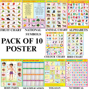 Combo of 10 Chart | Yogasan, Numerical, Animals, Birds, Fruits, Vegetables, English Alphabet, Colours, Shapes, Multiplication & Parts of the Body Chart For Kids | 28x40Inch (70x100cm)| Laminated chart | Waterproof and Non tearable Wall Chart. Paper Print