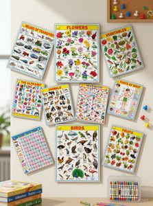 English & Hindi Educational Chart for Kids | 45×60cm | ABC'D Chart | Combo of 10 Charts | laimination paper chart | Non-Tearable and Waterproof | Perfect for Homeschooling, Kindergarten and Nursery Student Fine Art Print