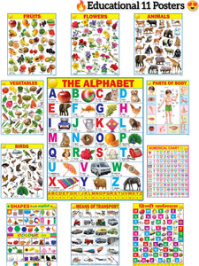 All in One Educational Charts for Kids with Colourful Pictures for Children Fine Art Print