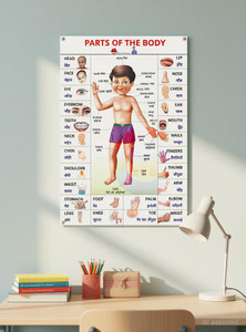 Parts of the Body Educational Chart Poster | Kids Learning Body Parts Chart (English–Hindi) | Study Room Poster (12 x 18 Inch) Paper Print