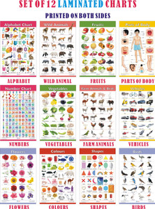 Charts for Kids Learning | Set of 12 Charts ( Printed on Both Sides ) | 30 x 45 cm | Alphabet, Numbers, Birds, Animals, Fruits, Vegetables, Shapes, Colours, Parts of Body, Vehicles, Domestic Animals & Flowers Chart | Perfect for Homeschooling, Kindergarten and Nursery Students | Photographic Paper