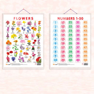 FLOWERS CHART HARD LAMINATED and NUMBER 1-50 CHART HARD LAMINATED | combo of 2 charts | Petal and Numeracy Educational Visuals Paper Print