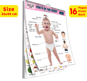 16 in 1 Parts of The Body Educational Chart For Kids -Children Spiral Wall Picture Chart ( Big Fonts and Realistic Pictures) Paper Print