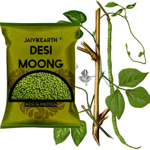 jaivikearth Organic Green Moong Dal (Whole) (mung seed, cherupayar, pacci pappu, hirave harabhare, sabuja grama, sabuja chola)