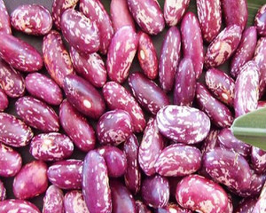 KINAAV Unpolished Rajma