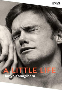 A Little Life Book