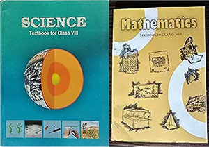 Original NCERT | Class 8 Book Set Of 2 – Mathematics & Science ...