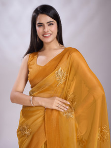Tasrika एम्ब्रॉइडरेड, एम्बेलिश्ड हैंडलूम ओर्गेंज़ा साड़ी