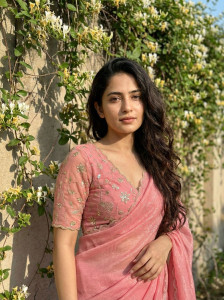 AMIYASILKMILLS Self Design, Embroidered Daily Wear Chiffon Saree