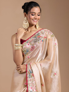 SareezaaStore Embroidered Bollywood Organza Saree