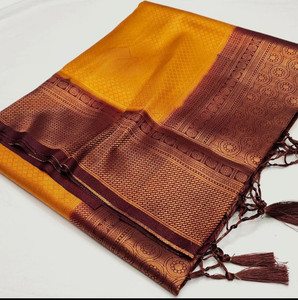 Divastri Woven Kanjivaram Pure Silk Saree