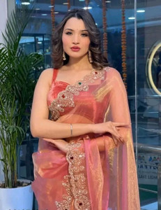 DH FASHON Self Design Bollywood Net Saree