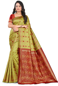 REZAA HOEZZ Woven Patola Cotton Silk, Jacquard Saree