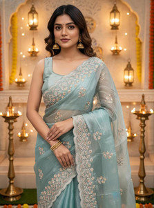 Sariya Embroidered Bollywood Organza, Chiffon Saree