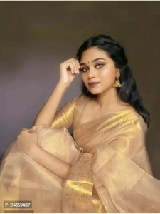 Nilofar Silk Saree Woven, Self Design Banarasi Tissue Saree