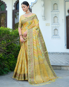 Satrani Woven, Embellished, Self Design Ikkat Organza, Jacquard Saree