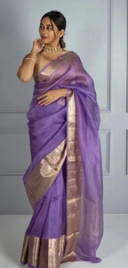 Banaras silk palace Woven, Dyed Banarasi Organza Saree