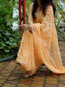 Afia Lucknowi Chikankari Embroidered Lucknow Chikankari Georgette Saree