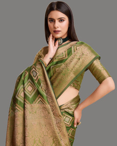 VILLAGIUS Woven Ikkat Organza Saree