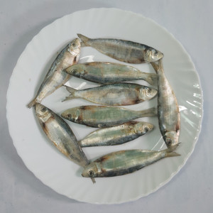 AL-HAQQ Sardine | Mathi | Chala Dry Fish Karuvadu Whole Price in India ...