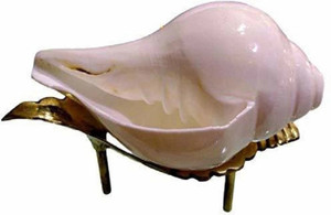 HVS Shankh natural 100% Pooja purpose men and women Blowing Shankh