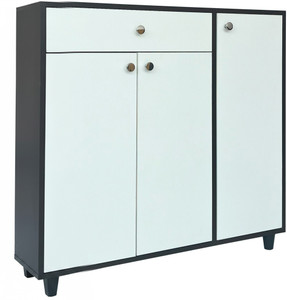 raywud Sunshine White Shoe Storage Cabinet Engineered Wood Shoe Rack