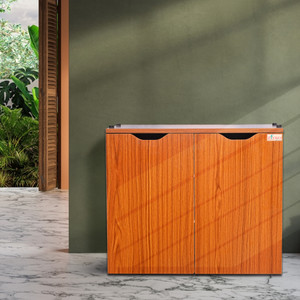 ziyko 2-Door Engineered Wooden Shoe Rack / Cabinet with Seat Engineered Wood Shoe Rack