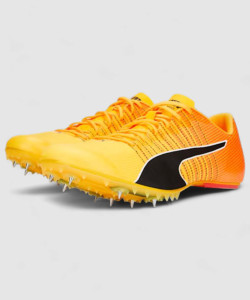 PUMA evoSPEED Tokyo Future 4 For Men - Buy PUMA evoSPEED Tokyo