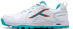 Hundred Pitch Force Cricket Shoes For Men