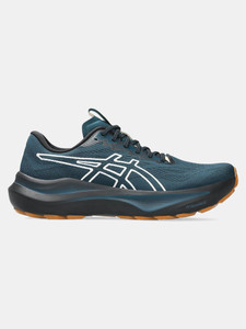Asics GT-2000 14 TR Running Shoes For Men