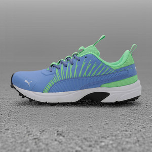 PUMA Cricket Square Cricket Shoes For Men