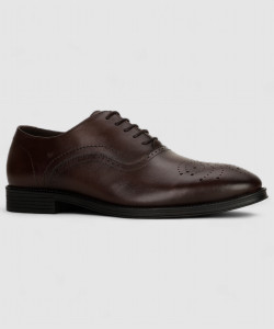 HUSH PUPPIES Brogues For Men