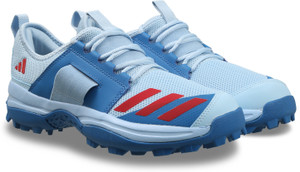 ADIDAS CRICUP23 Cricket Shoes For Men
