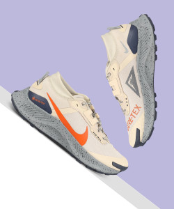 Running Shoes Nike Pegasus Trail Pure Platinum Nike Running Shoe