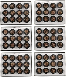 Airofine Fragrance Guggal Cows Panchgavya Dhuni Cups, Sambrani Dhoop cups Guggul Dhoop