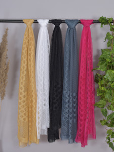 Kuhika Net Self Design Women Dupatta