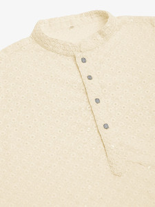 romj Men Chikan Embroidery Straight Kurta