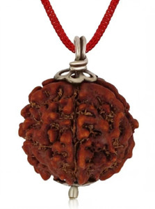 RUDRA UNIVERSE 5 Mukhi Rudraaksh Nepali Origin 20mm Plus size Wood Pendant