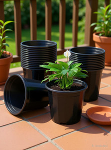 Gardeningwala 6 inch Black Plant Pot - Image 6