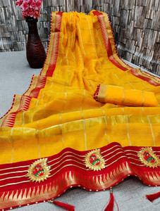 Kanooda Prints Woven Kota Doria Net Saree